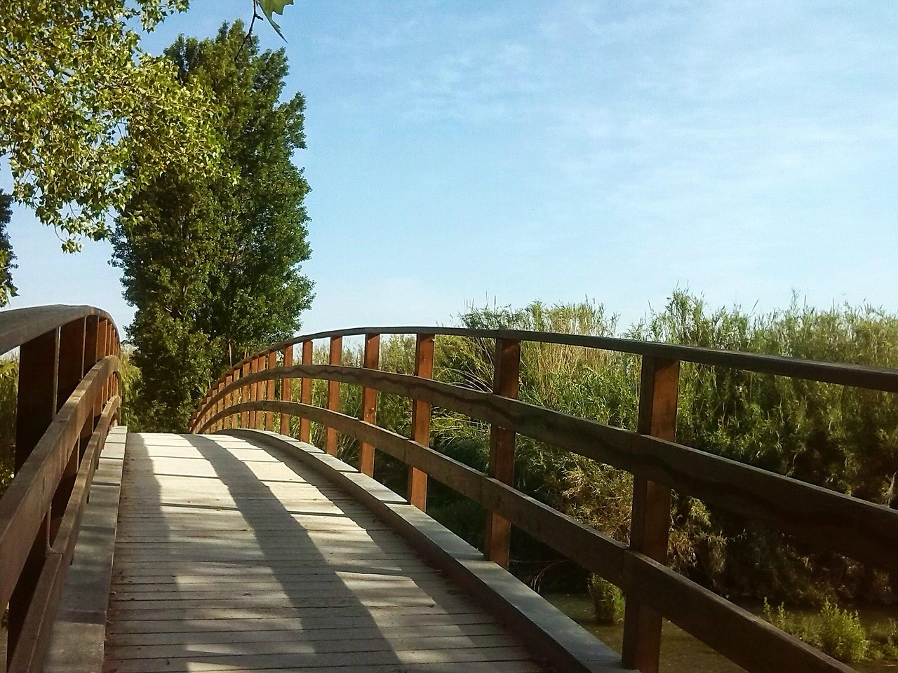 gallery-04 bridge, tree, path, entrepreneurship, landscape, nature, park, spring, begin, entrepreneurship, entrepreneurship, entrepreneurship, entrepreneurship, entrepreneurship