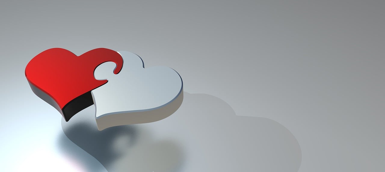 How do I create partnerships with technology vendors and service providers?
