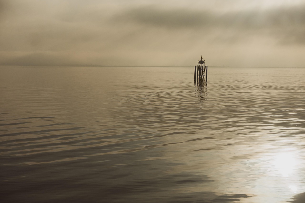 What strategies help me stay calm and focused during crisis situations?